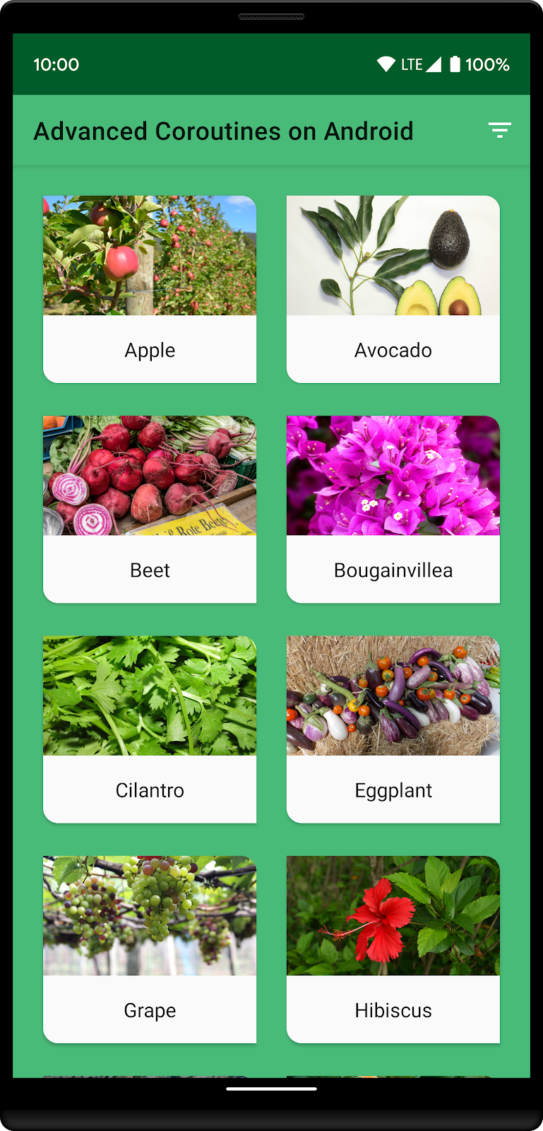 Lista de plantas 2faf7cd0b97434f5.png