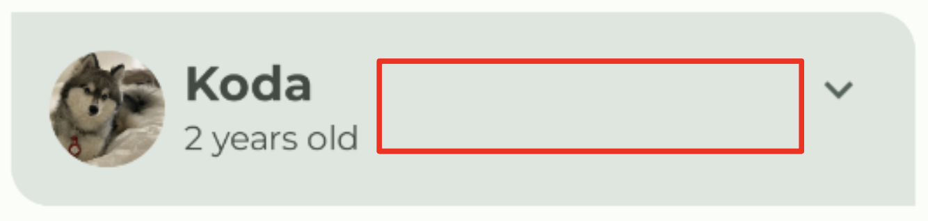 Woof list item with spacign 733f6d9ef2939ab5.png