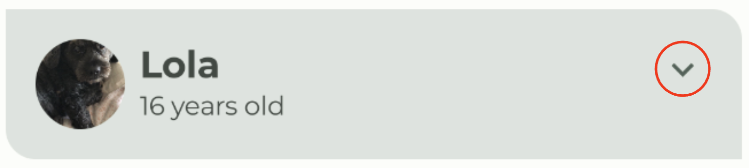 Woof list item with button def59d71015c0fbe.png