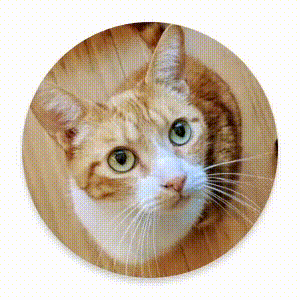 Un élément d&#39;interface utilisateur est réduit et disparaît de l&#39;écran.