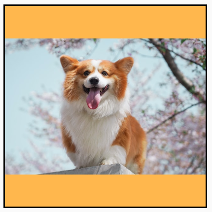 Tek tip ölçeklendirilmiş bir köpek manzarası.