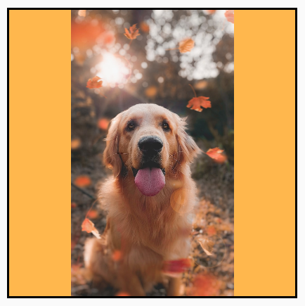 Eşit şekilde ölçeklendirilmiş bir köpek portresi.