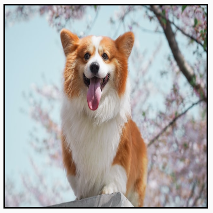 รูปภาพแนวนอนที่บิดเบี้ยวจนเต็มกรอบสี่เหลี่ยมจัตุรัสโดยการยืดรูปภาพ