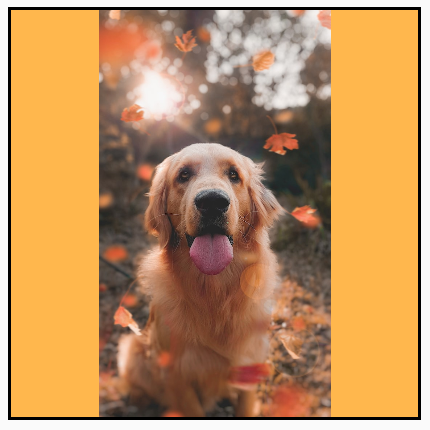 Uma imagem em modo retrato dimensionada para preencher a altura de um quadro quadrado, mostrando a imagem completa com fundo amarelo visível à esquerda e à direita.