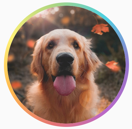 Image circulaire d&#39;un chien avec une bordure en dégradé arc-en-ciel autour de la forme circulaire.