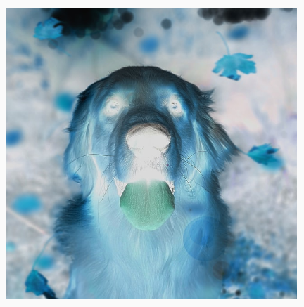 Un perro con los colores invertidos, que muestra un efecto similar al de un negativo.