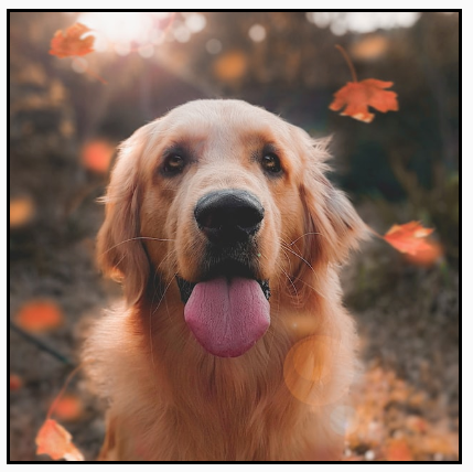 A portrait image, originally larger than its square bounds, displayed at its original size, with parts extending beyond the top and bottom of the frame.