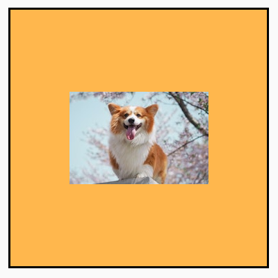 Uma imagem em paisagem, originalmente menor que os limites quadrados, exibida no tamanho original dentro do frame, mostrando um plano de fundo amarelo ao redor dela.