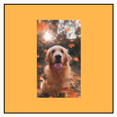 A portrait image, originally smaller than its square bounds, displayed at its original size within the frame, showing a yellow background around it.