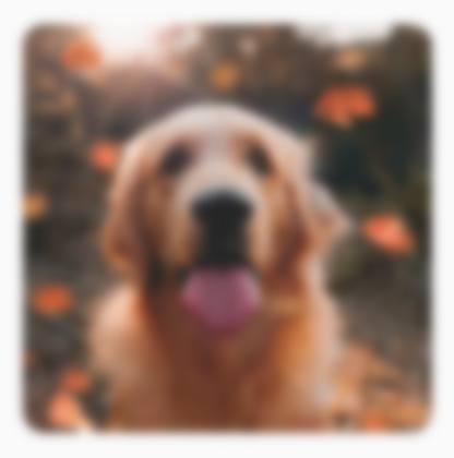 Una imagen borrosa de un perro, en la que el desenfoque se extiende más allá de los límites de la imagen original, lo que hace que los bordes se vean difusos.