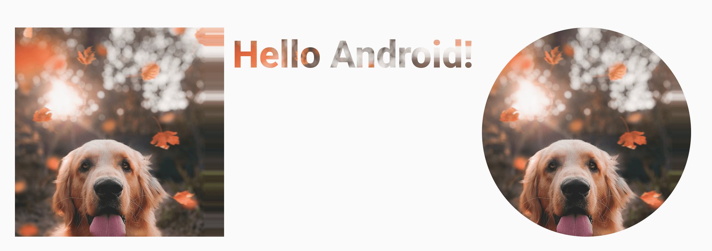 Кисть ImageShader, используемая по-разному