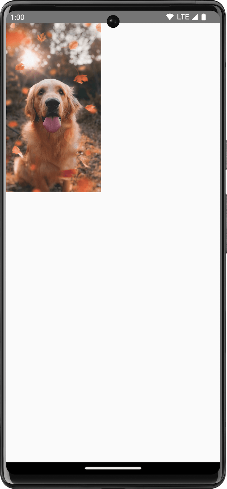 Canvas पर कुत्ते की बनाई गई इमेज