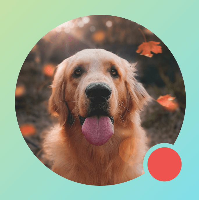 ‫Modifier.drawWithContent בתמונה שמוצג בה סימן עיגול, עם BlendMode.Clear בתוך האפליקציה