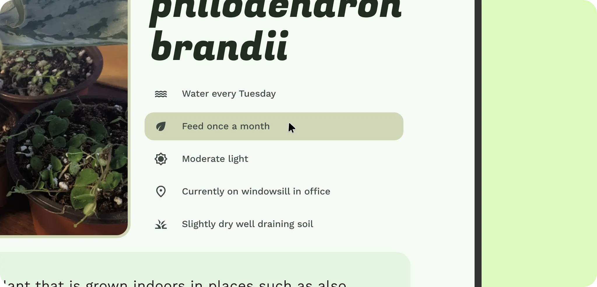 마우스 오버 시 추가 상호작용