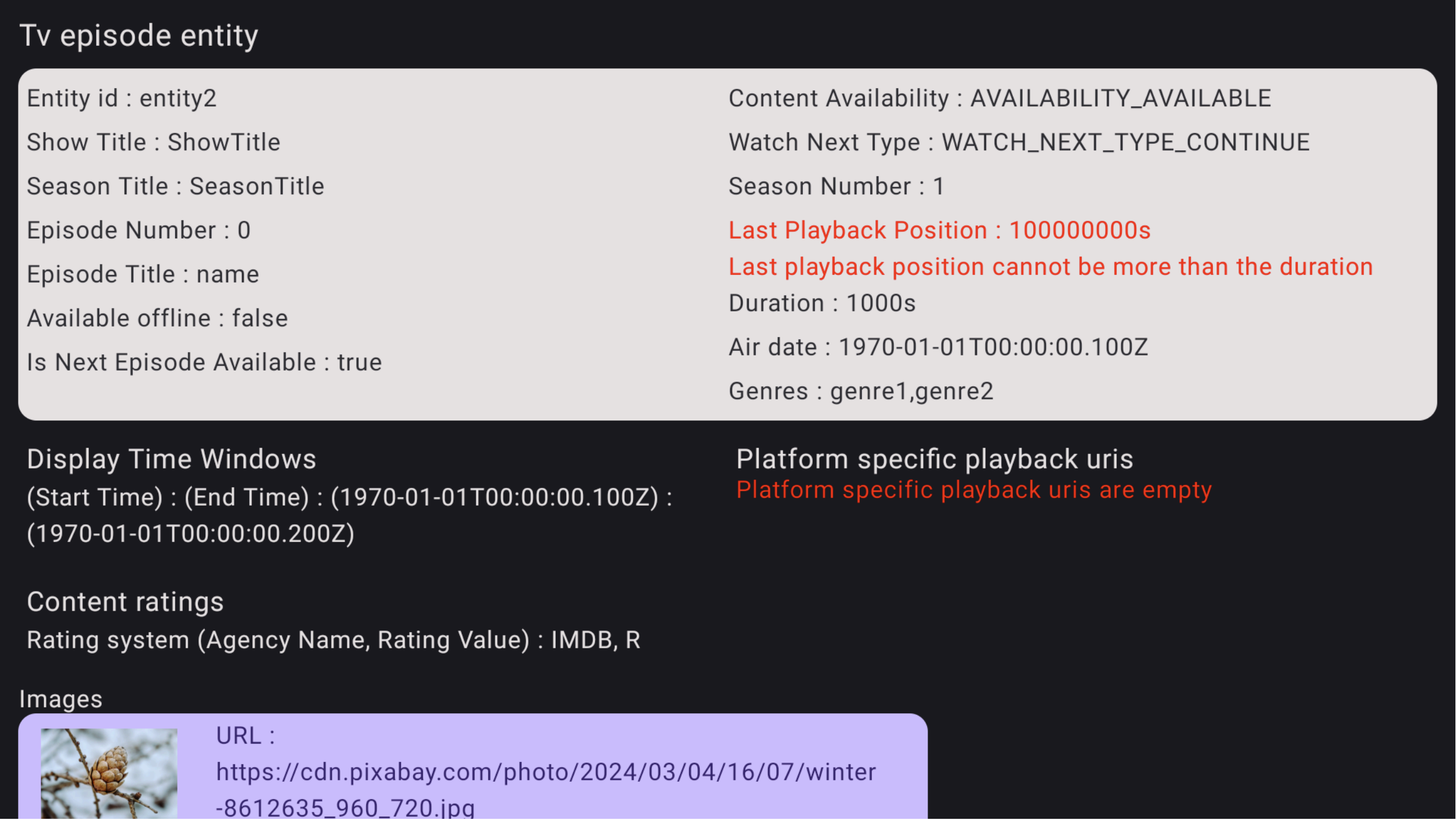 驗證應用程式錯誤詳細資料