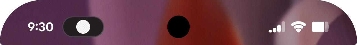 צ&#39;יפ סטטוס עם סמל