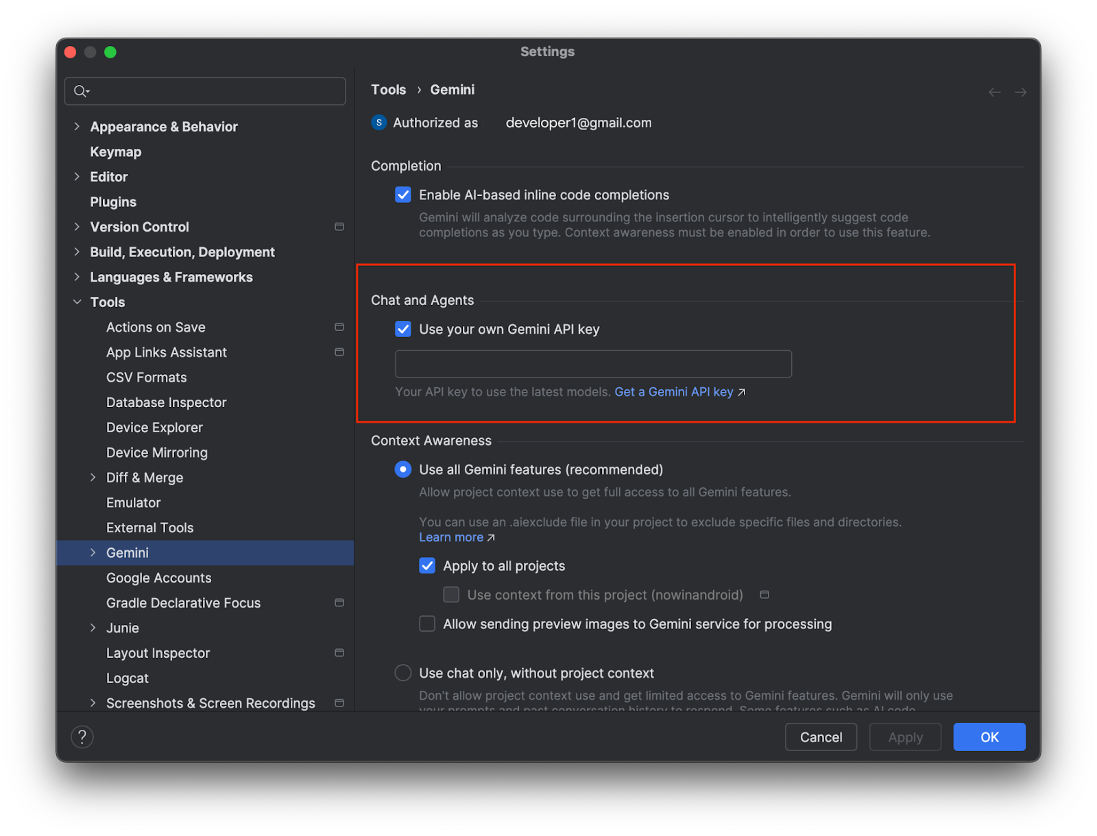 Add your own API key in the Gemini settings.